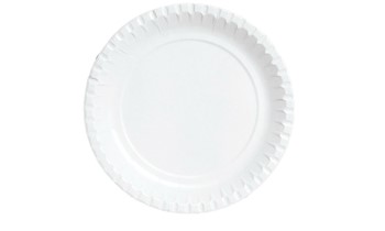 Assiette carton 23cm - 100 pcs